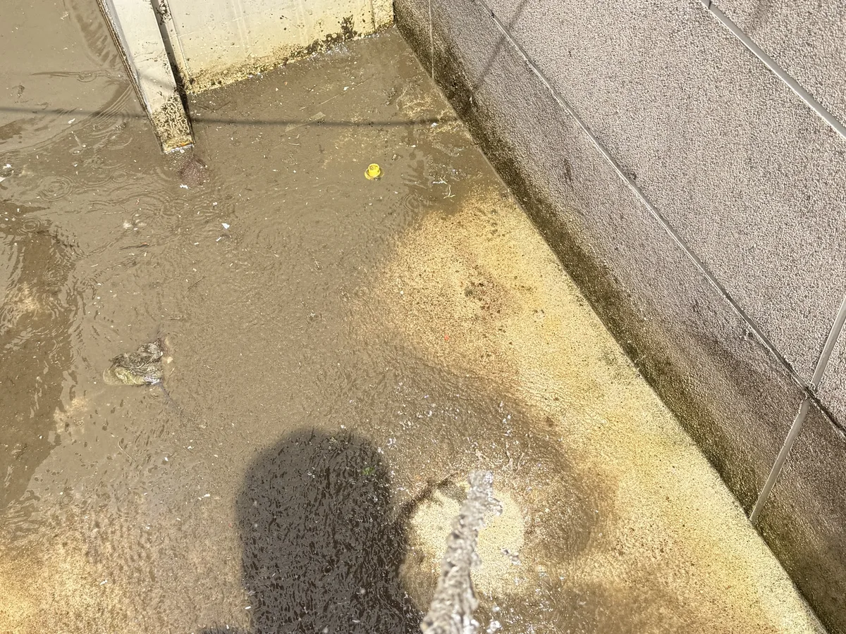함양군 안의면 배관 관리실·기계실 위생청소 사례 - 행진크린